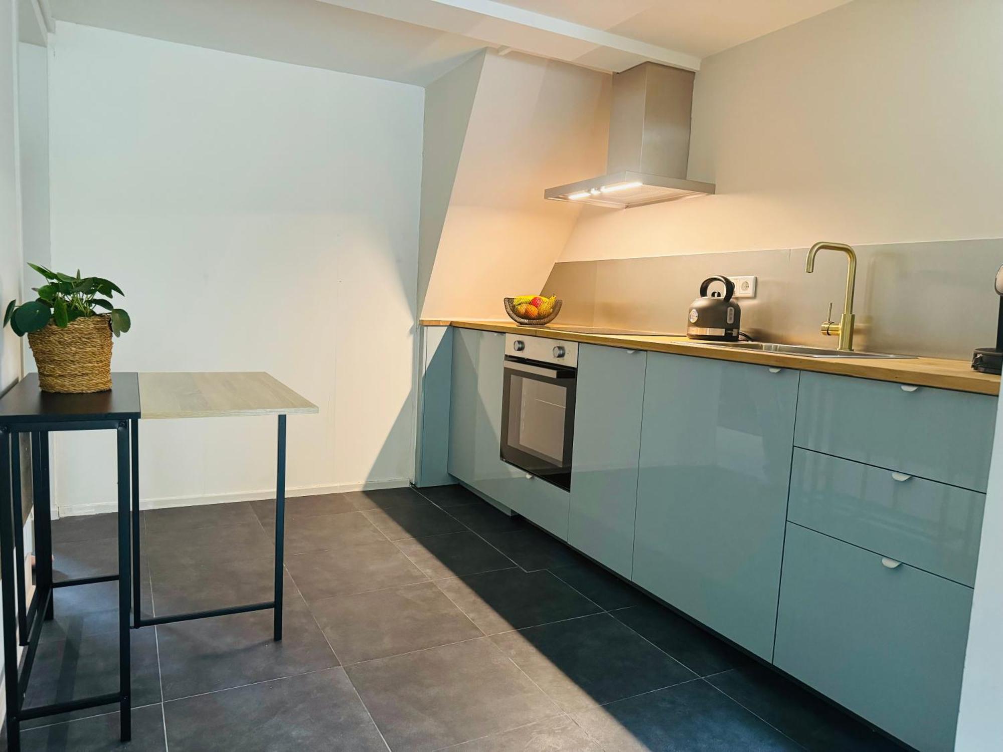 Apartment Souterrain Boslaan